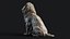 Sculpture Lion Assis PBR Low-poly