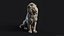 Sculpture Lion Assis PBR Low-poly