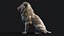 Sculpture Lion Assis PBR Low-poly