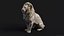 Sculpture Lion Assis PBR Low-poly