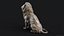 Sculpture Lion Assis PBR Low-poly