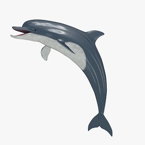 common bottlenose dolphin tursiops c4d