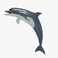 Common Bottlenose Dolphin(Tursiops Truncatus)