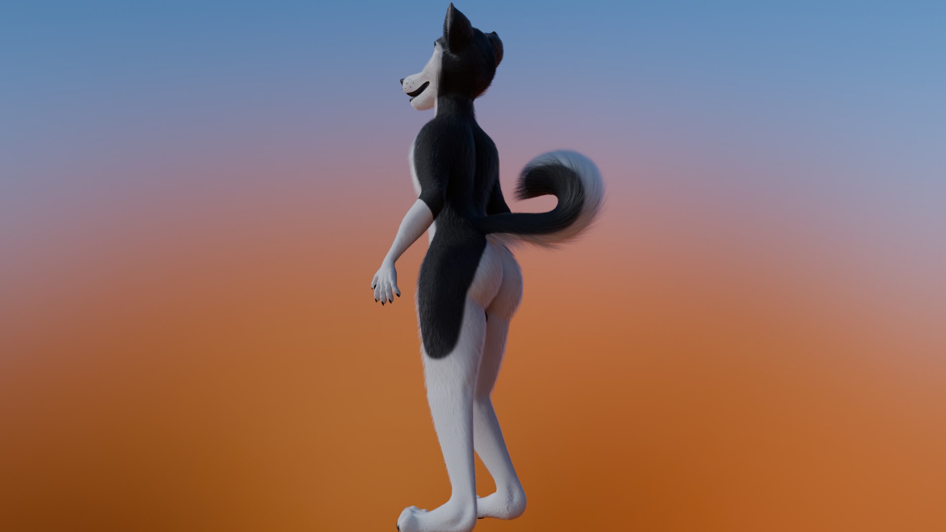 3D Thomas Anthro Husky https://p.turbosquid.com/ts-thumb/sH/ltKvr3/Js/c5/png/1741496694/1920x1080/fit_q87/b951e6979606bcce2a0f76283f69bd3ea46da654/c5.jpg