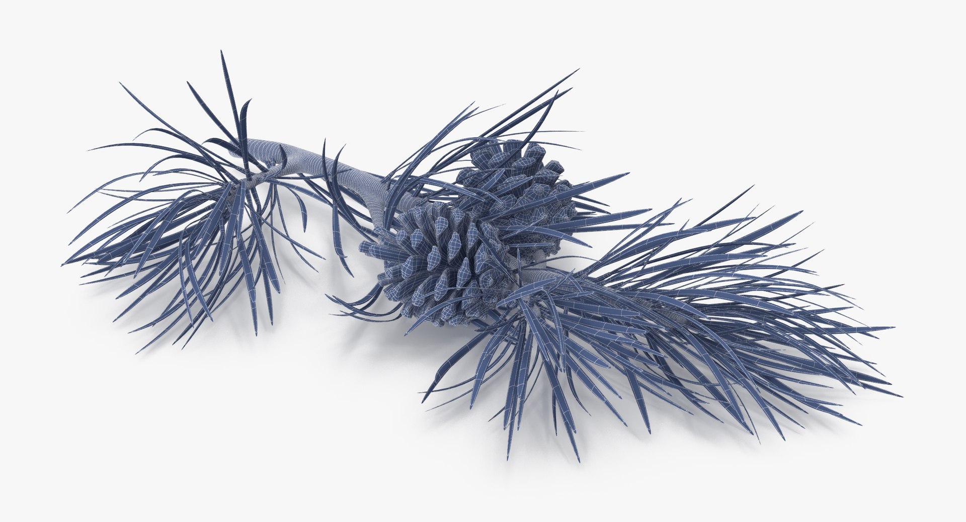 pine tree sprig 3d model https://p.turbosquid.com/ts-thumb/sI/EdwaiA/0kIpsI06/pine_tree_springs_02_001_wireframe_0004/jpg/1459522527/1920x1080/fit_q87/780081560f987dfef63b2235b7c5e645d0ceaadd/pine_tree_springs_02_001_wireframe_0004.jpg