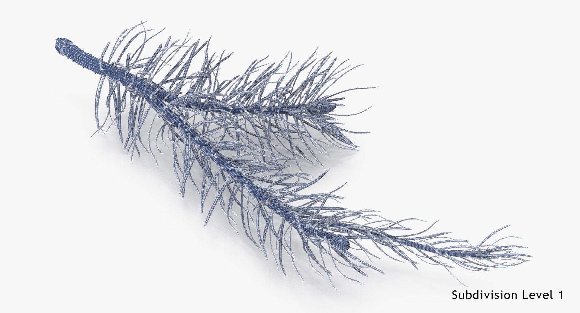 pine tree sprig 3d model https://p.turbosquid.com/ts-thumb/sI/EdwaiA/8EUTeSeF/pine_tree_sprig_03_001_wireframe_subdiv1/jpg/1459530792/1920x1080/fit_q87/6c08aceea074b1246c545ff88761f9e325f6df35/pine_tree_sprig_03_001_wireframe_subdiv1.jpg