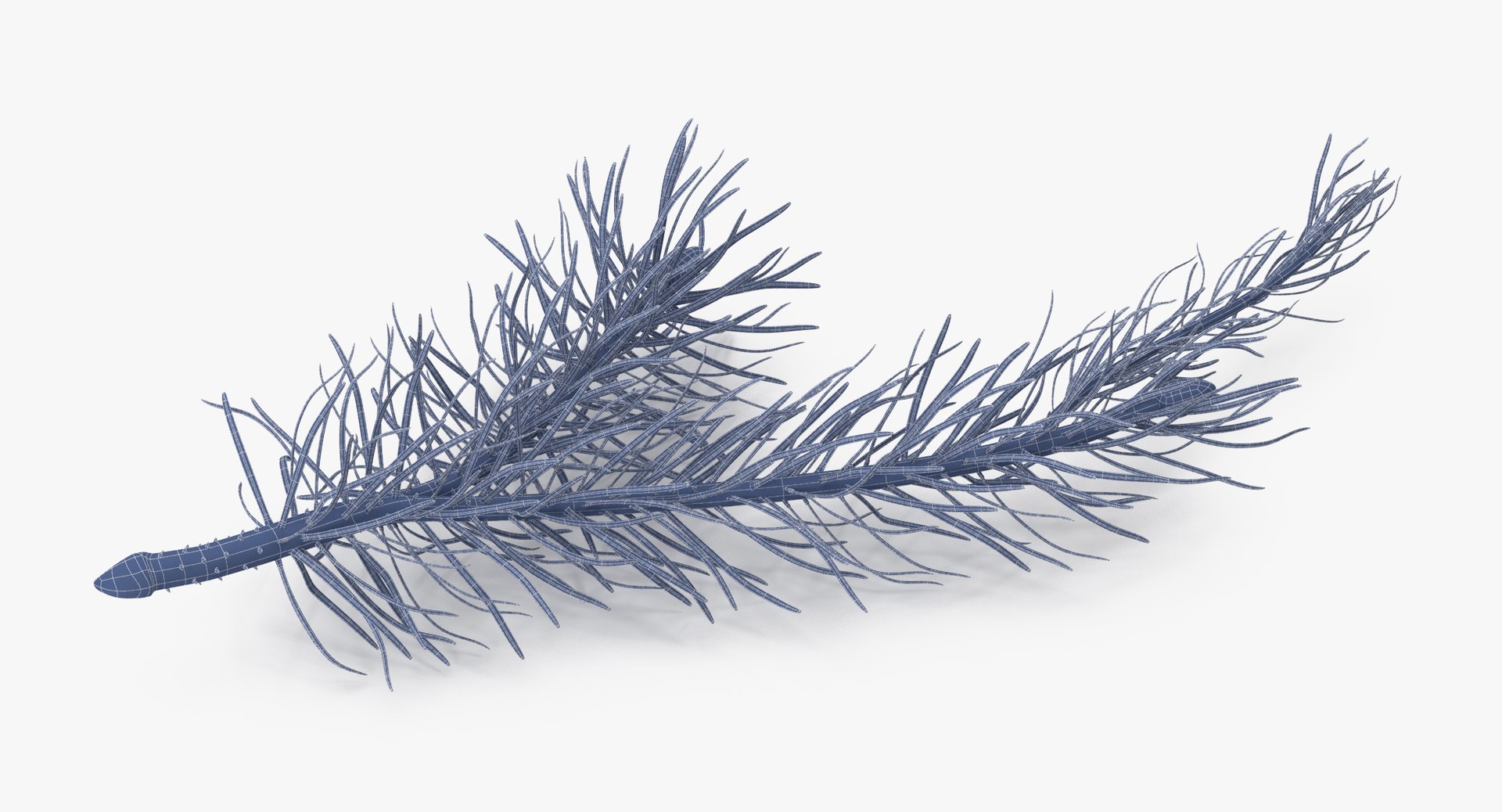 pine tree sprig 3d model https://p.turbosquid.com/ts-thumb/sI/EdwaiA/CoYcHu9L/pine_tree_sprig_03_001_wireframe_0002/jpg/1459530791/1920x1080/fit_q87/1f65c1b24a6e95786d1913e7f44c8dca3529276e/pine_tree_sprig_03_001_wireframe_0002.jpg