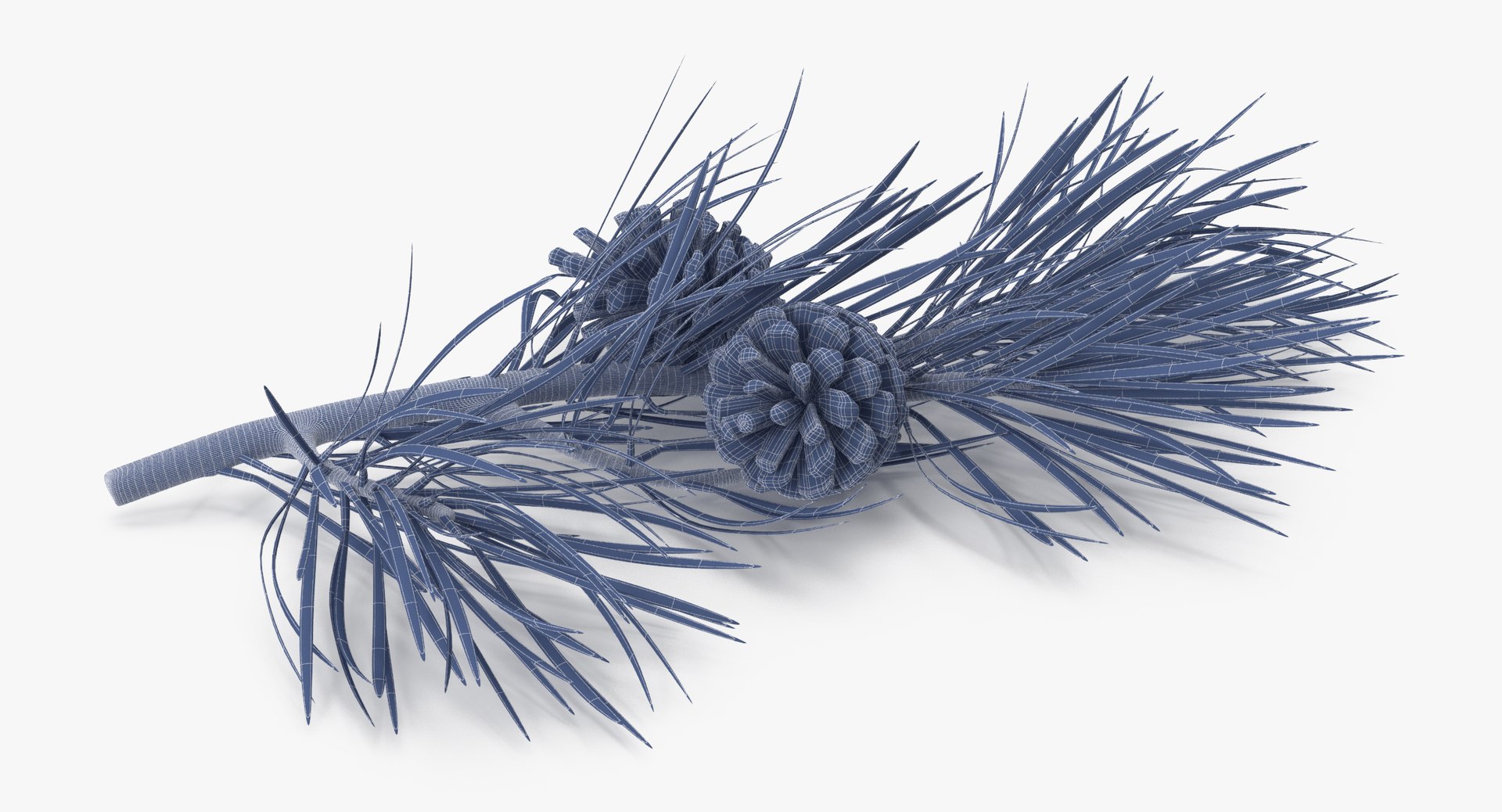 pine tree sprig 3d model https://p.turbosquid.com/ts-thumb/sI/EdwaiA/ID0ATFQM/pine_tree_springs_02_001_wireframe_0005/jpg/1459522527/1920x1080/fit_q87/2a977296474d90e5d179368d77942f0398031e02/pine_tree_springs_02_001_wireframe_0005.jpg