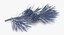pine tree sprig 3d model