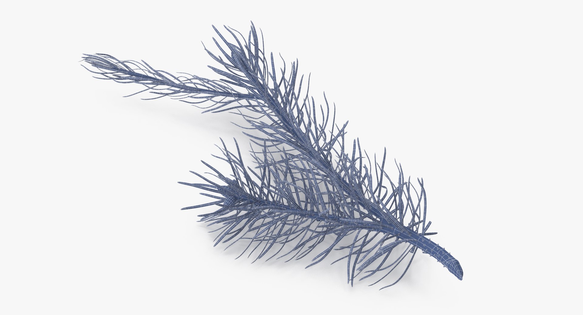pine tree sprig 3d model https://p.turbosquid.com/ts-thumb/sI/EdwaiA/Je6YzoIp/pine_tree_sprig_03_001_wireframe_0004/jpg/1459530791/1920x1080/fit_q87/55689c83258a92599944746840bde97cd93a8e61/pine_tree_sprig_03_001_wireframe_0004.jpg