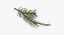 Pine Tree Sprigs Collection