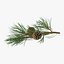 pine tree sprig 3d model