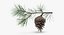 pine tree sprig 3d model