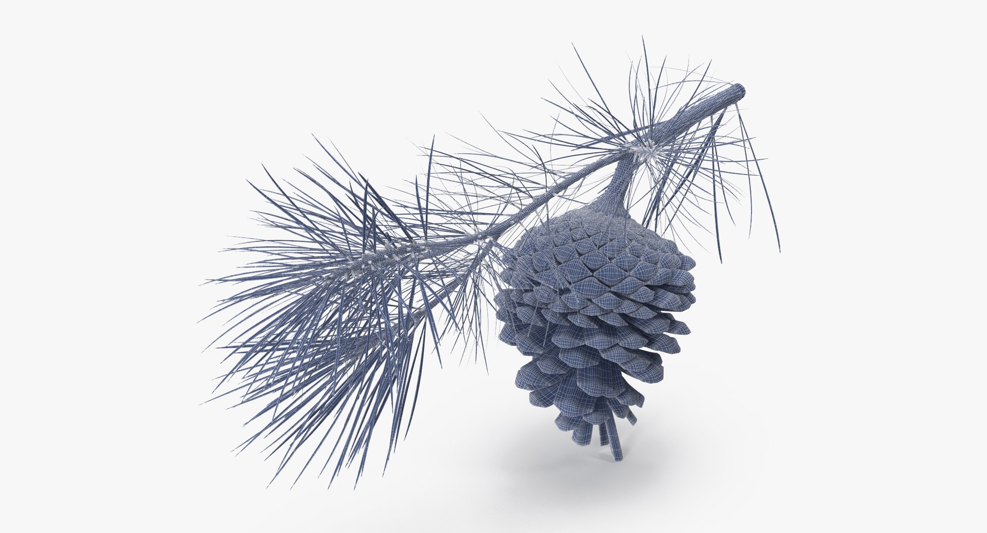 pine tree sprig 3d model https://p.turbosquid.com/ts-thumb/sI/EdwaiA/Sv9qcsn1/pine_tree_springs_01_001_wireframe_0006/jpg/1453214631/1920x1080/fit_q87/e52c3283576e2bf1ebda40581e1f89e3b3f04810/pine_tree_springs_01_001_wireframe_0006.jpg