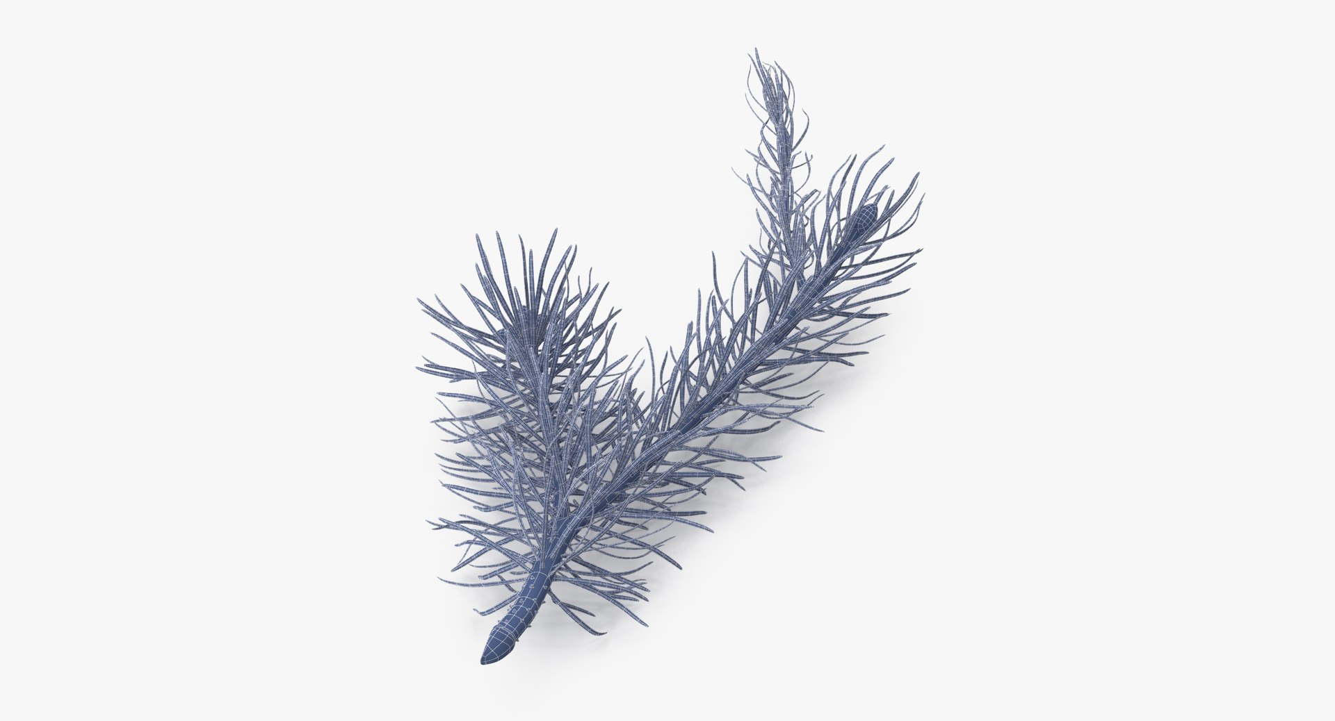 pine tree sprig 3d model https://p.turbosquid.com/ts-thumb/sI/EdwaiA/UAenf4nK/pine_tree_sprig_03_001_wireframe_0003/jpg/1459530791/1920x1080/fit_q87/bbfce47e3ecf526c48b5e06f48adc3958097f9ad/pine_tree_sprig_03_001_wireframe_0003.jpg