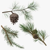 Pine Tree Sprigs Collection