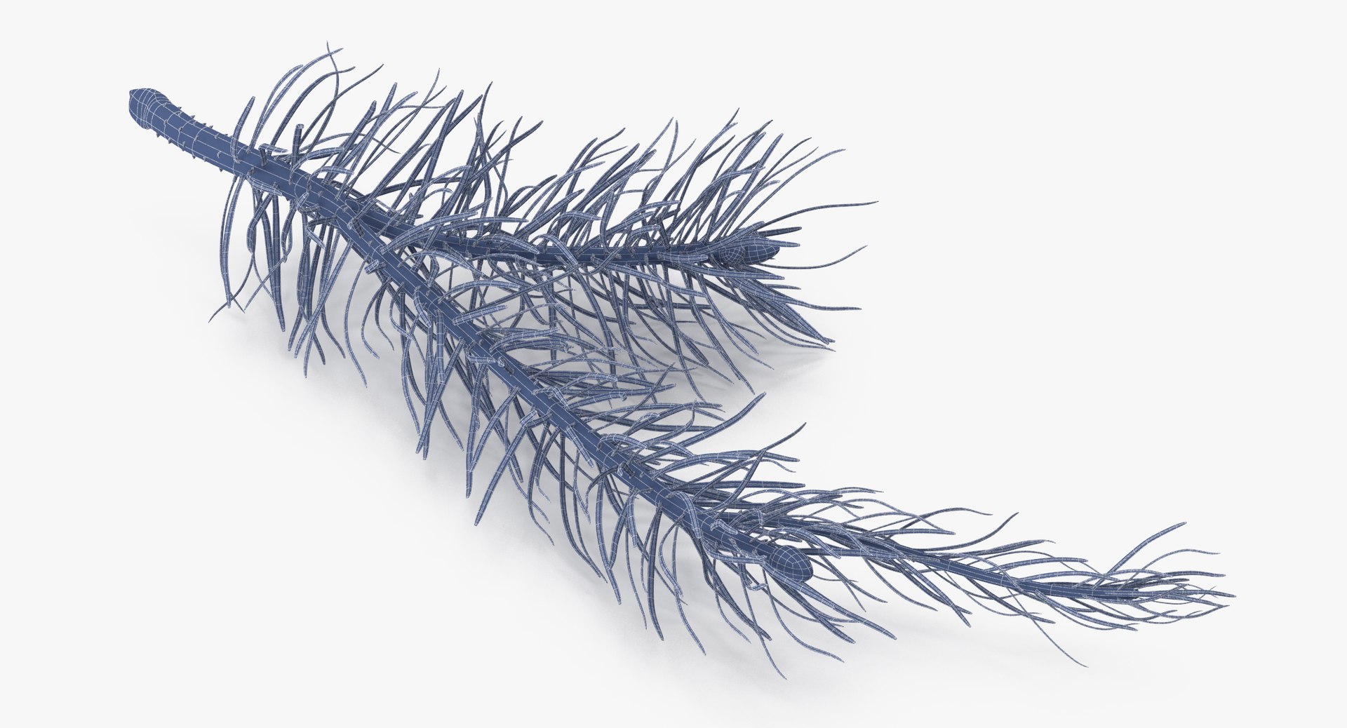 pine tree sprig 3d model https://p.turbosquid.com/ts-thumb/sI/EdwaiA/WXlw8SKl/pine_tree_sprig_03_001_wireframe_0001/jpg/1459530791/1920x1080/fit_q87/e32efeff05b0a79c3587315888953bbea88632b6/pine_tree_sprig_03_001_wireframe_0001.jpg