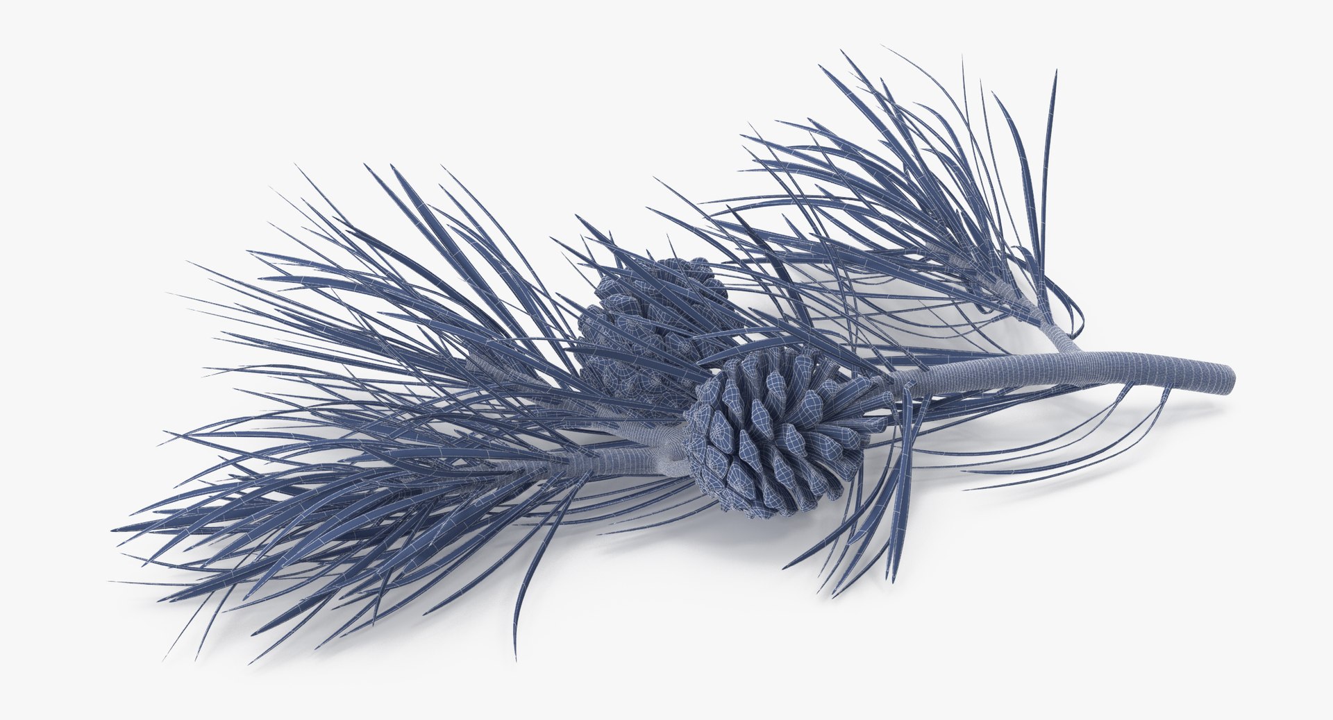 pine tree sprig 3d model https://p.turbosquid.com/ts-thumb/sI/EdwaiA/Way2fIZ8/pine_tree_springs_02_001_wireframe_0001/jpg/1459522527/1920x1080/fit_q87/a756d23bdb670486d99bdee806bcbf2991f1fd4e/pine_tree_springs_02_001_wireframe_0001.jpg
