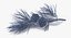 pine tree sprig 3d model