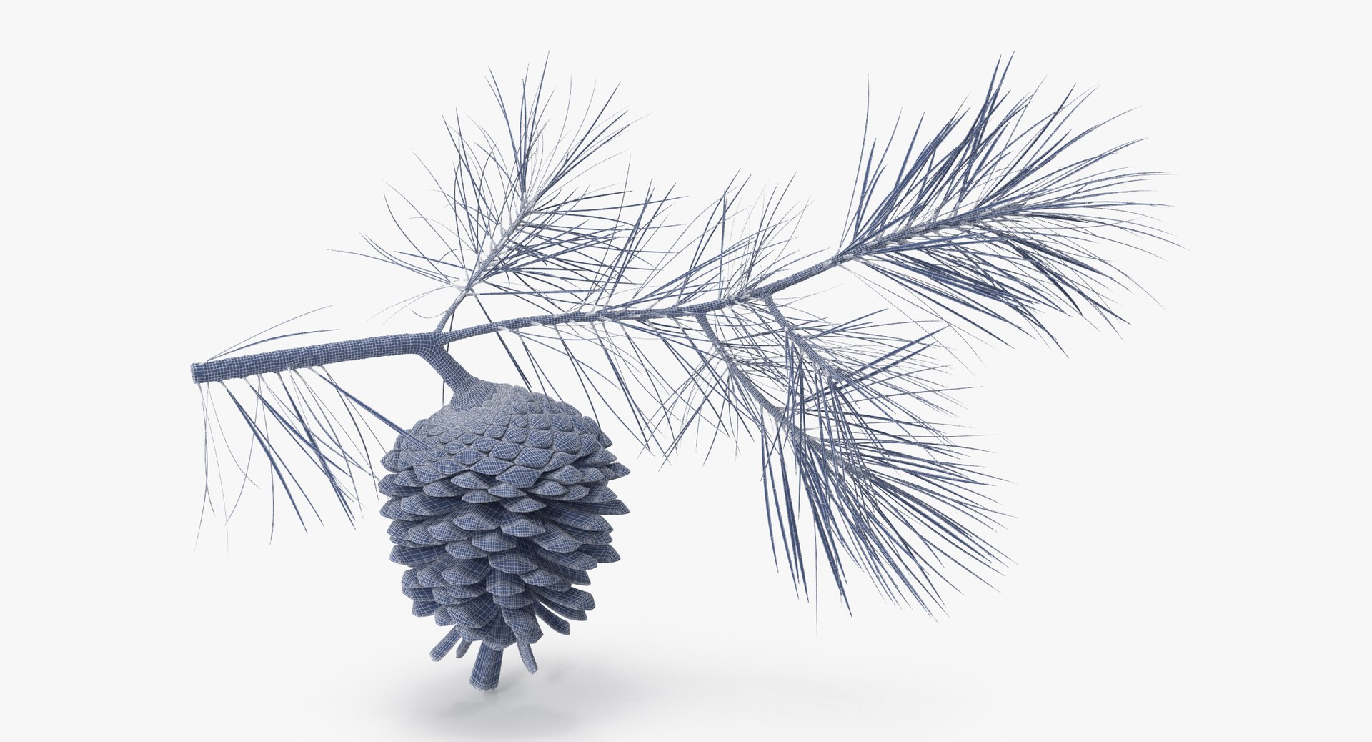 pine tree sprig 3d model https://p.turbosquid.com/ts-thumb/sI/EdwaiA/WwedDmFz/pine_tree_springs_01_001_wireframe_0001/jpg/1453214630/1920x1080/fit_q87/d6587f69577cd789080afb47ddd1f68d1ddedb69/pine_tree_springs_01_001_wireframe_0001.jpg