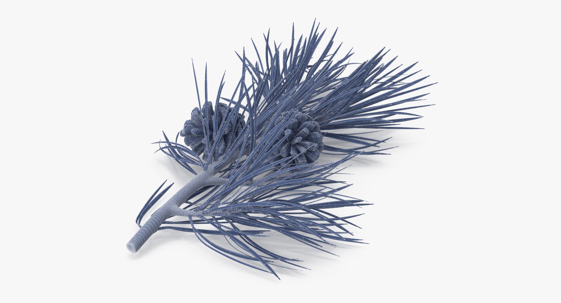 pine tree sprig 3d model https://p.turbosquid.com/ts-thumb/sI/EdwaiA/YWZiJTih/pine_tree_springs_02_001_wireframe_0006/jpg/1459522527/1920x1080/fit_q87/14d826e911b0143091507fc723f0aec88f198558/pine_tree_springs_02_001_wireframe_0006.jpg