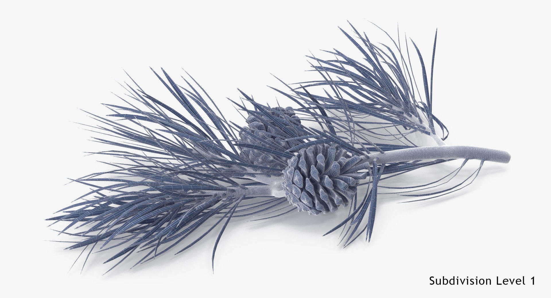 pine tree sprig 3d model https://p.turbosquid.com/ts-thumb/sI/EdwaiA/ZPVvM5Yc/pine_tree_springs_02_001_wireframe_subdiv1/jpg/1459522527/1920x1080/fit_q87/37ddb26aa80996af44bd92eaeee1722d444cc673/pine_tree_springs_02_001_wireframe_subdiv1.jpg