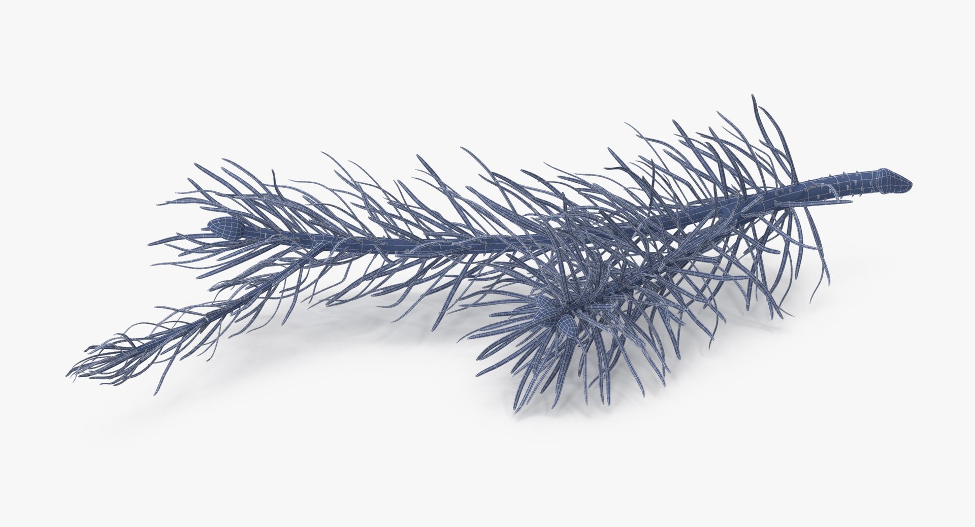 pine tree sprig 3d model https://p.turbosquid.com/ts-thumb/sI/EdwaiA/jCkT7P49/pine_tree_sprig_03_001_wireframe_0006/jpg/1459530792/1920x1080/fit_q87/dc8977947893024008b2d2b2bda54dc33e766ed1/pine_tree_sprig_03_001_wireframe_0006.jpg