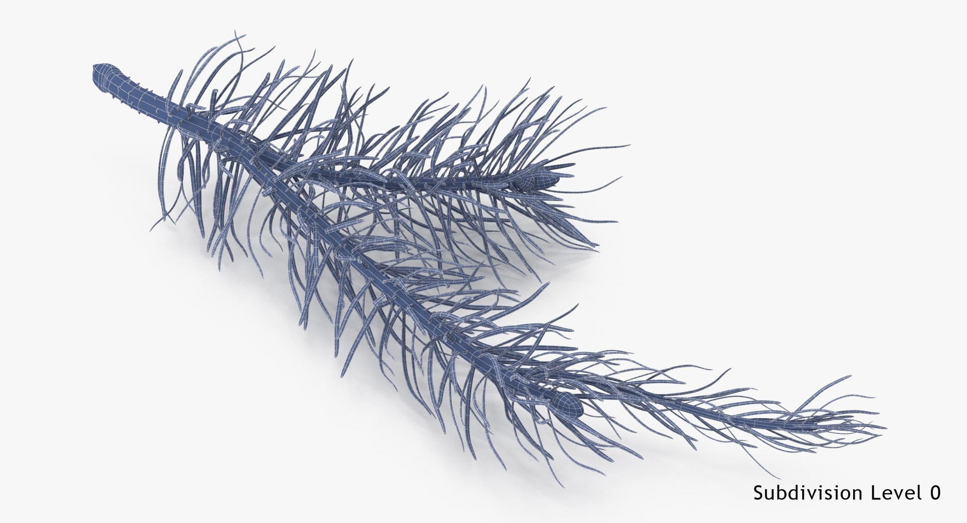 pine tree sprig 3d model https://p.turbosquid.com/ts-thumb/sI/EdwaiA/jicojIuJ/pine_tree_sprig_03_001_wireframe_subdiv0/jpg/1459530792/1920x1080/fit_q87/5f19a7a9918a0342347d4872e6a7bc0506f10496/pine_tree_sprig_03_001_wireframe_subdiv0.jpg