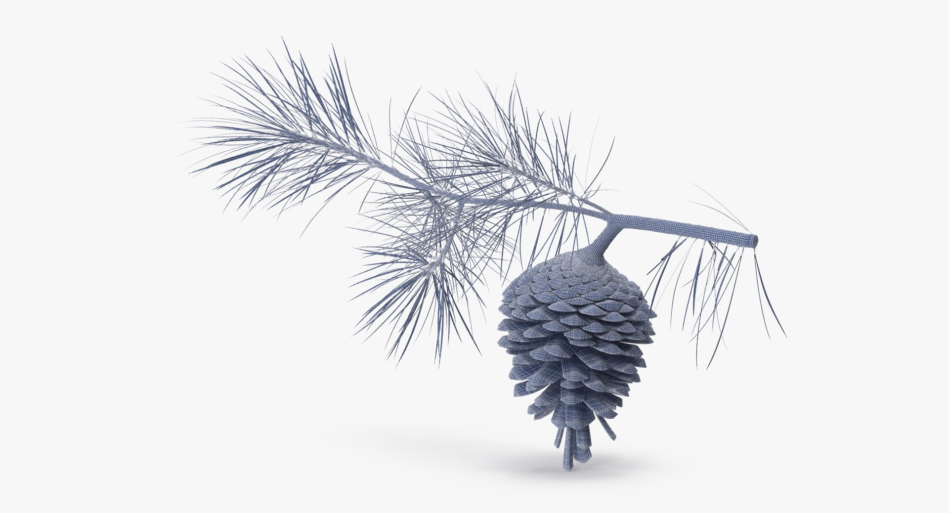 pine tree sprig 3d model https://p.turbosquid.com/ts-thumb/sI/EdwaiA/lKXdgDr0/pine_tree_springs_01_001_wireframe_0003/jpg/1453214630/1920x1080/fit_q87/497f4ebf3e9190fd1420077178ee6e10544051f4/pine_tree_springs_01_001_wireframe_0003.jpg