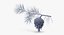 pine tree sprig 3d model