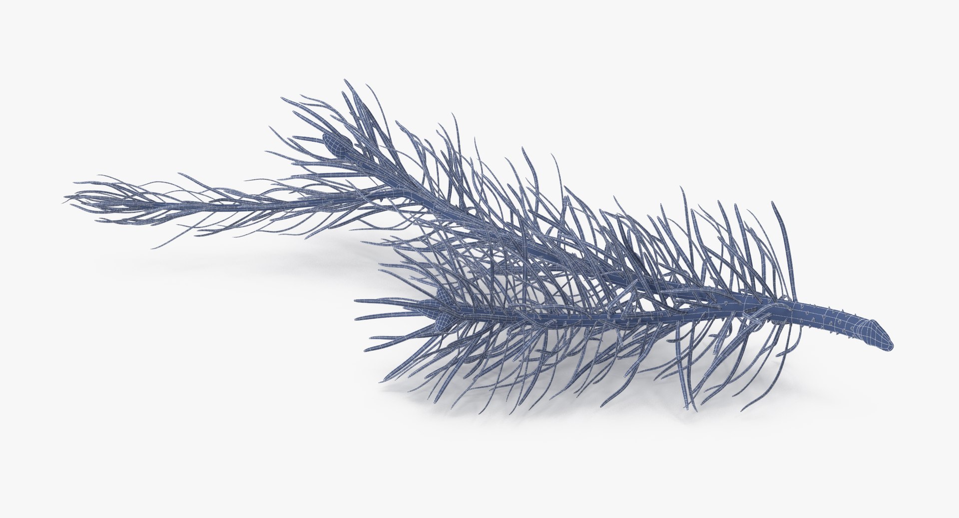 pine tree sprig 3d model https://p.turbosquid.com/ts-thumb/sI/EdwaiA/lMIofdol/pine_tree_sprig_03_001_wireframe_0005/jpg/1459530792/1920x1080/fit_q87/79f7507ce4483fdbcf37d363a16da3d42e7bbc58/pine_tree_sprig_03_001_wireframe_0005.jpg