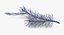 pine tree sprig 3d model