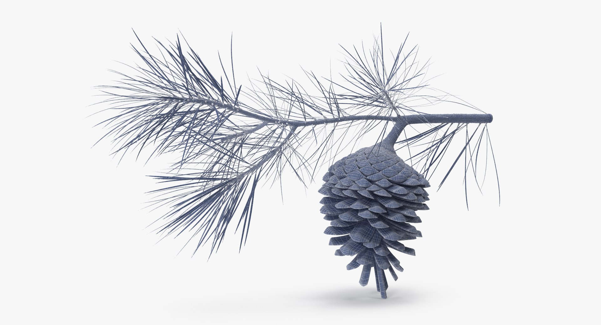 pine tree sprig 3d model https://p.turbosquid.com/ts-thumb/sI/EdwaiA/n4CBu5oz/pine_tree_springs_01_001_wireframe_0004/jpg/1453214630/1920x1080/fit_q87/0975473af1b3fbbb9bff5dd4cb3fa3c968c7d6b4/pine_tree_springs_01_001_wireframe_0004.jpg