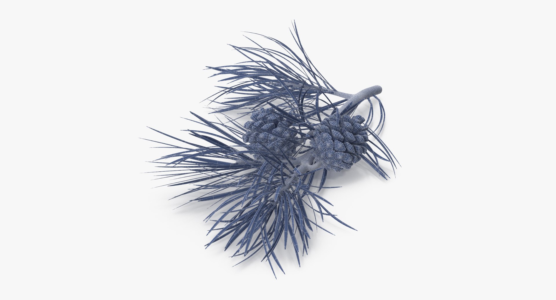pine tree sprig 3d model https://p.turbosquid.com/ts-thumb/sI/EdwaiA/nJnspO0G/pine_tree_springs_02_001_wireframe_0002/jpg/1459522527/1920x1080/fit_q87/c69f603514c94d6ea796e2b2c3fa708b71b9f46b/pine_tree_springs_02_001_wireframe_0002.jpg