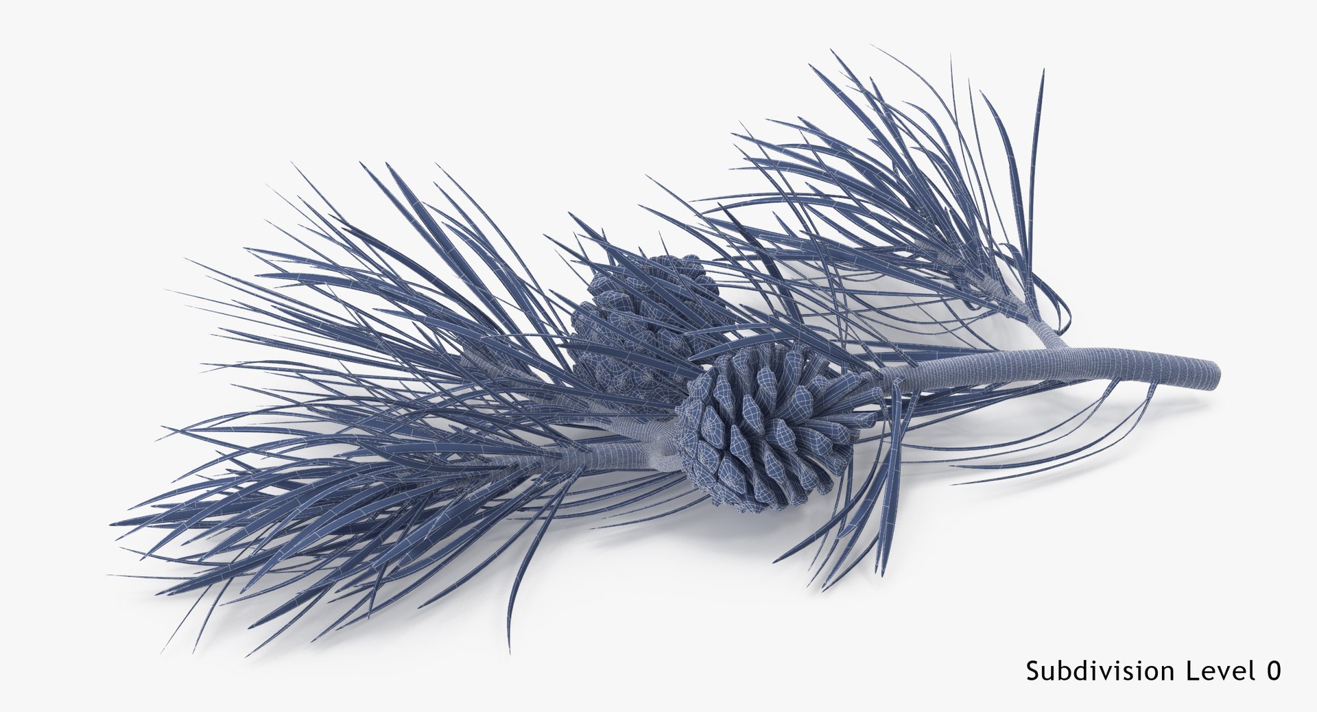 pine tree sprig 3d model https://p.turbosquid.com/ts-thumb/sI/EdwaiA/qKvlstm6/pine_tree_springs_02_001_wireframe_subdiv0/jpg/1459522527/1920x1080/fit_q87/252abe747ede418d17d39c22b795280a43b7fe45/pine_tree_springs_02_001_wireframe_subdiv0.jpg