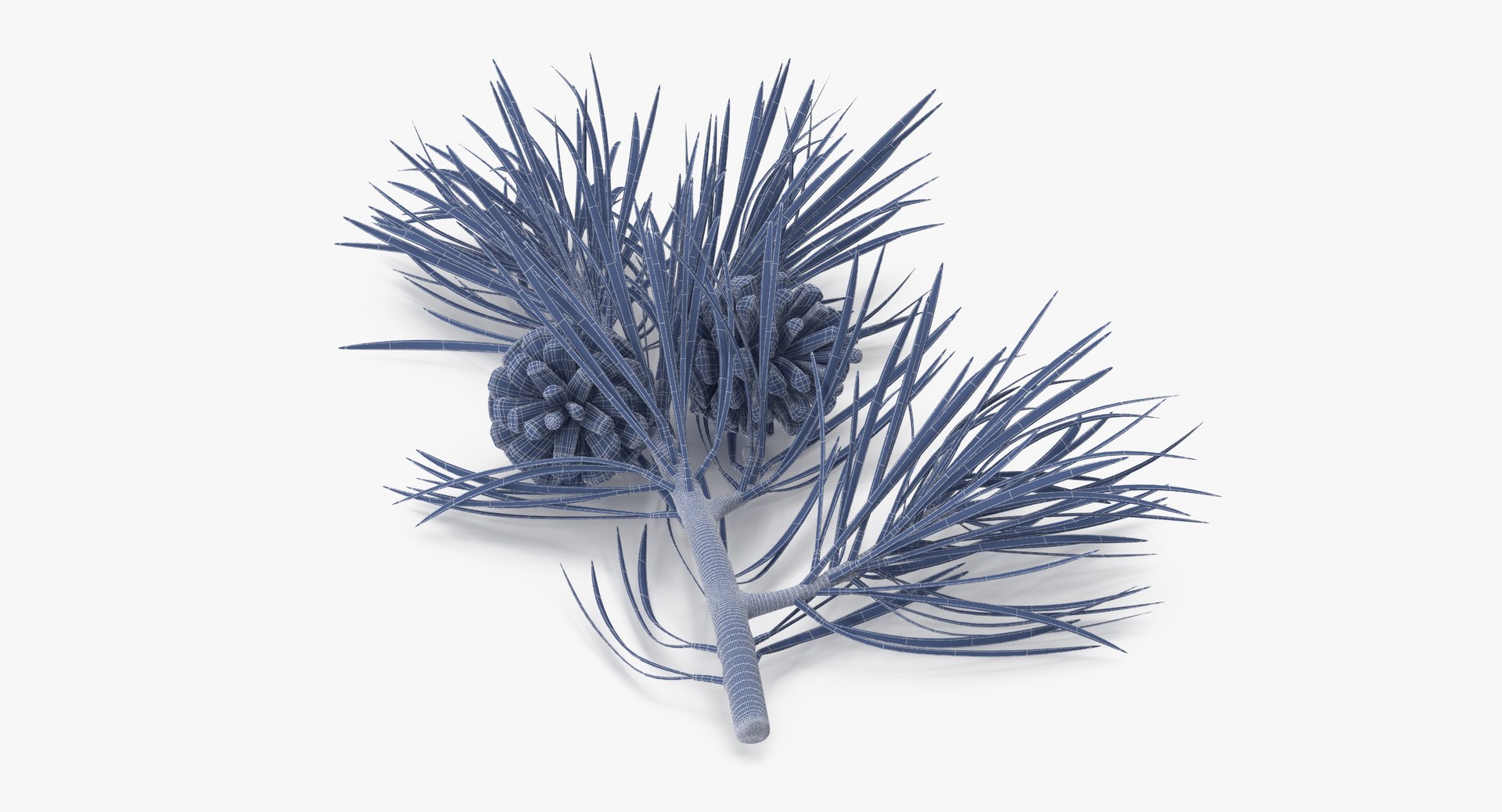 pine tree sprig 3d model https://p.turbosquid.com/ts-thumb/sI/EdwaiA/rMNDOfz6/pine_tree_springs_02_001_wireframe_0007/jpg/1459522527/1920x1080/fit_q87/388bf0293413d62dafacd91a32948dc26a230f3a/pine_tree_springs_02_001_wireframe_0007.jpg