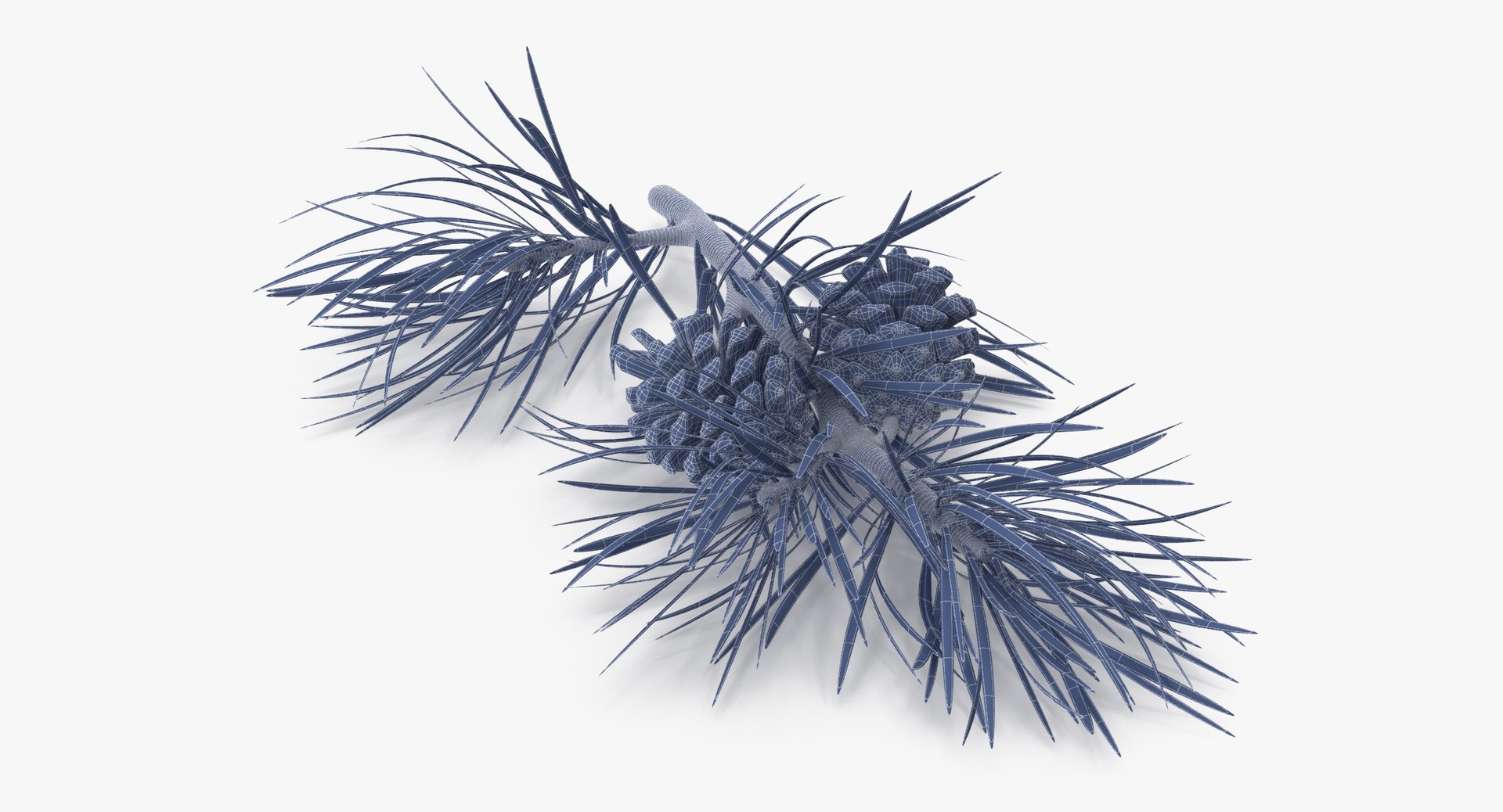 pine tree sprig 3d model https://p.turbosquid.com/ts-thumb/sI/EdwaiA/vX9kD9RC/pine_tree_springs_02_001_wireframe_0003/jpg/1459522527/1920x1080/fit_q87/98146c9c420f67ccaec594624908f667230f7da7/pine_tree_springs_02_001_wireframe_0003.jpg
