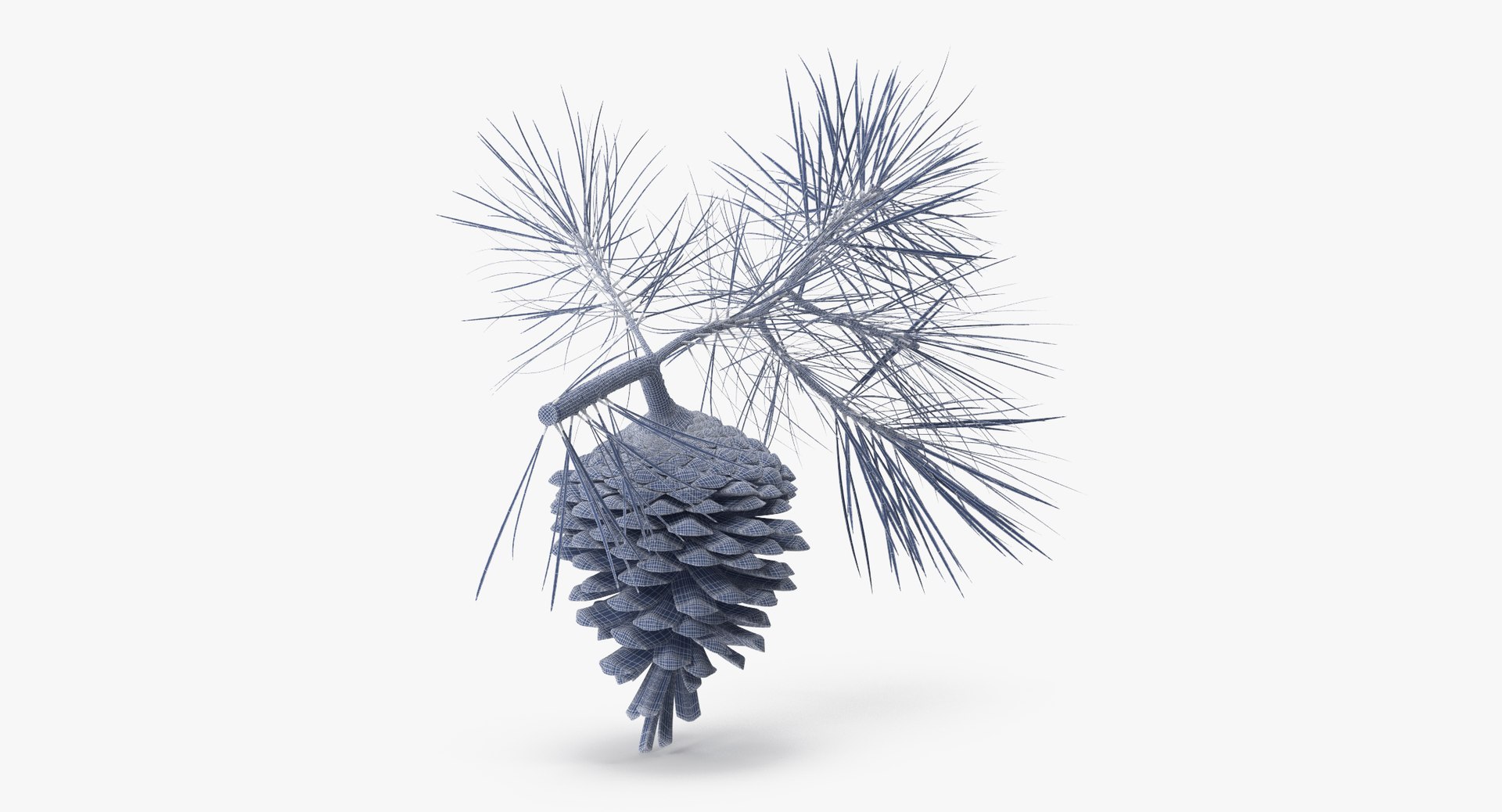 pine tree sprig 3d model https://p.turbosquid.com/ts-thumb/sI/EdwaiA/wbF7fQ2e/pine_tree_springs_01_001_wireframe_0002/jpg/1453214630/1920x1080/fit_q87/25f03854a13979acd66865ef42529eb14ae01da9/pine_tree_springs_01_001_wireframe_0002.jpg
