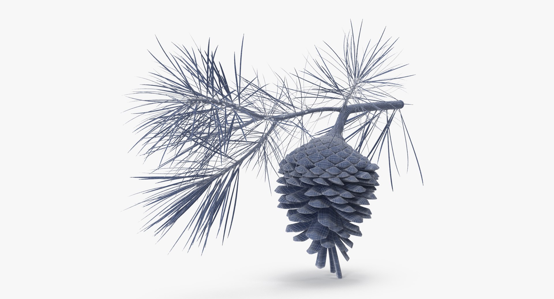 pine tree sprig 3d model https://p.turbosquid.com/ts-thumb/sI/EdwaiA/xWi9jECU/pine_tree_springs_01_001_wireframe_0005/jpg/1453214630/1920x1080/fit_q87/faf6ddb0cbcb2f870fd659397b0c1d8385aa2ccf/pine_tree_springs_01_001_wireframe_0005.jpg
