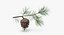 pine tree sprig 3d model