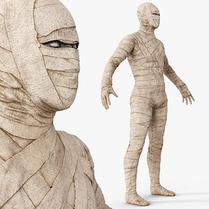 Mummy in Dirty Bandage A Pose