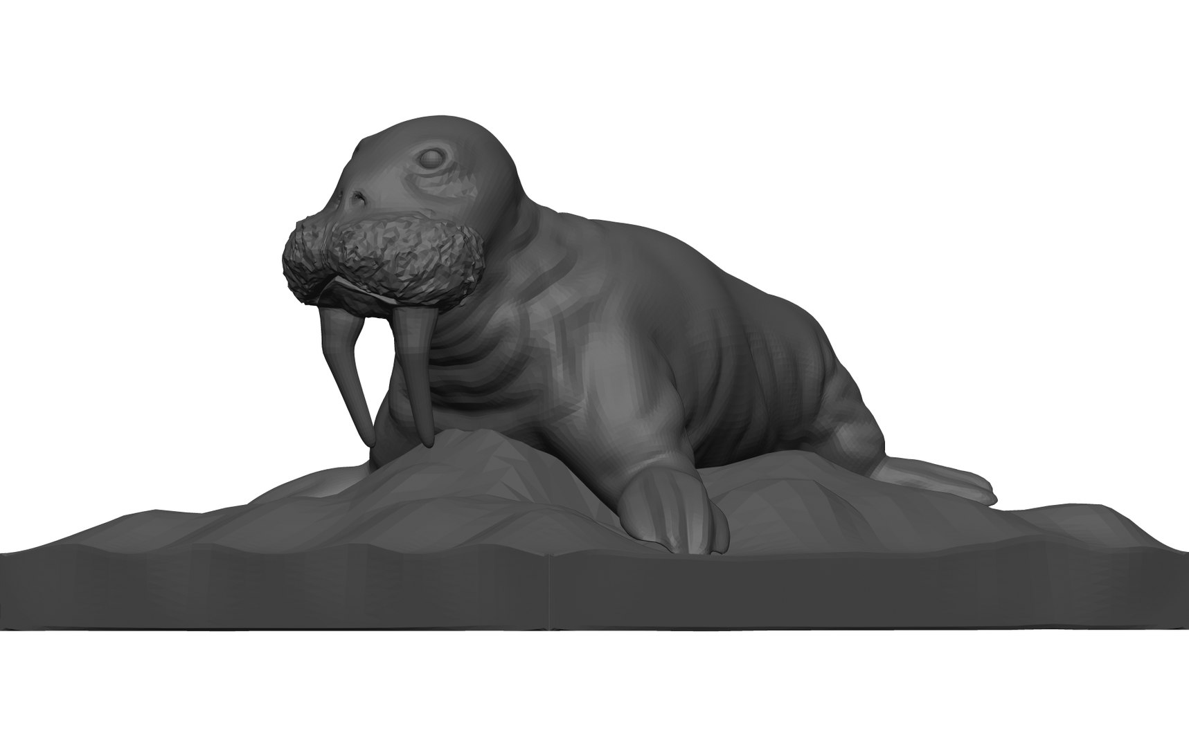 walrus-stl-3d-model-turbosquid-1774309