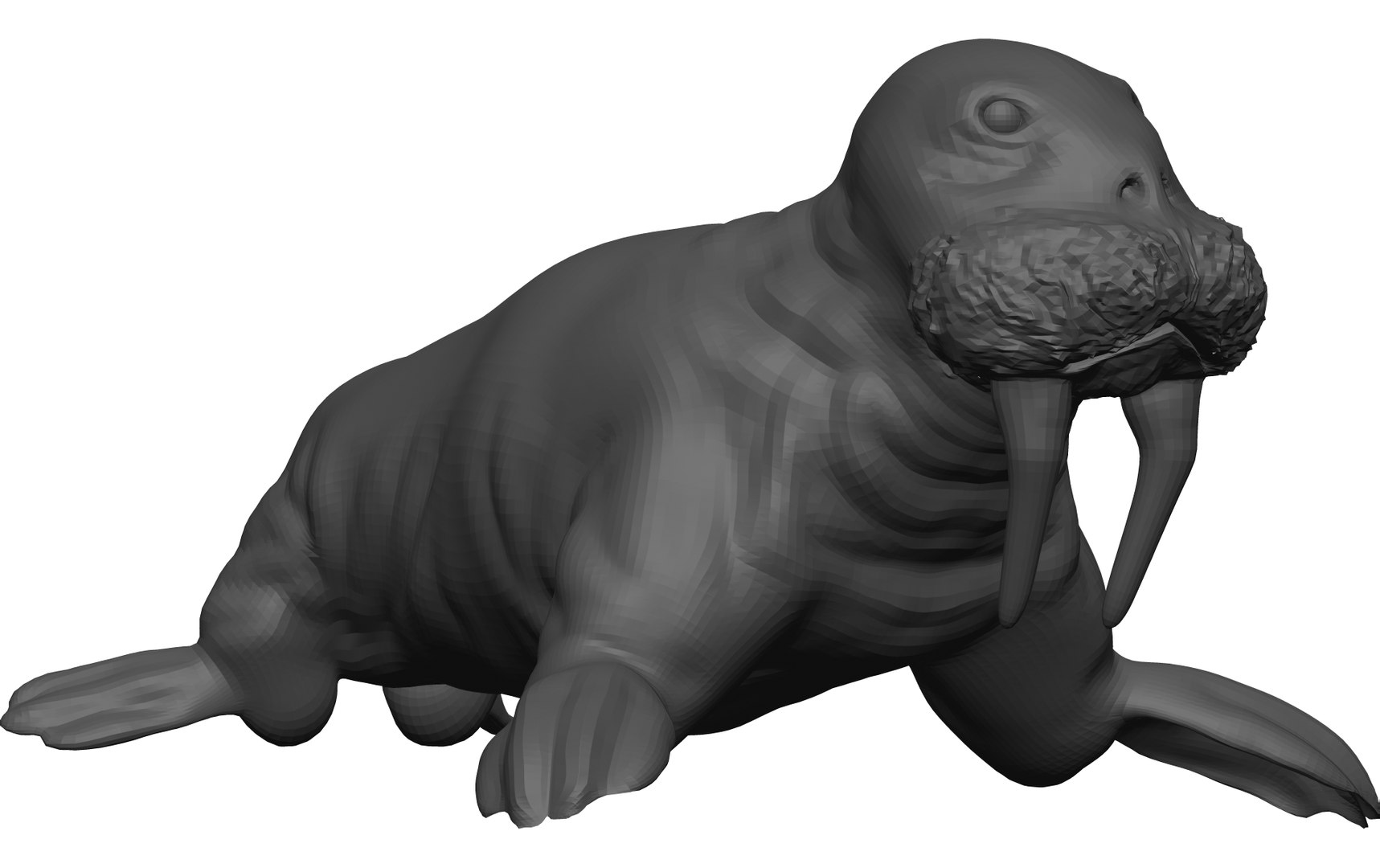 Walrus Stl 3d Model Turbosquid 1774309