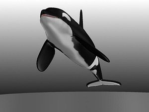 Orca .OBJ