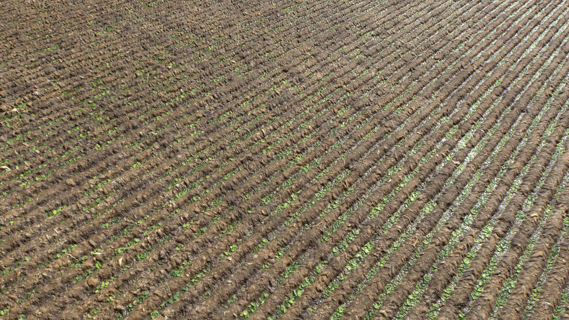 Farm Terrain Textures Pack 3 3D model https://p.turbosquid.com/ts-thumb/sI/gZf5by/E1/untitled/png/1753122897/1920x1080/fit_q87/8563dfcc45c30c7dde5137a88a4382b59a56b952/untitled.jpg