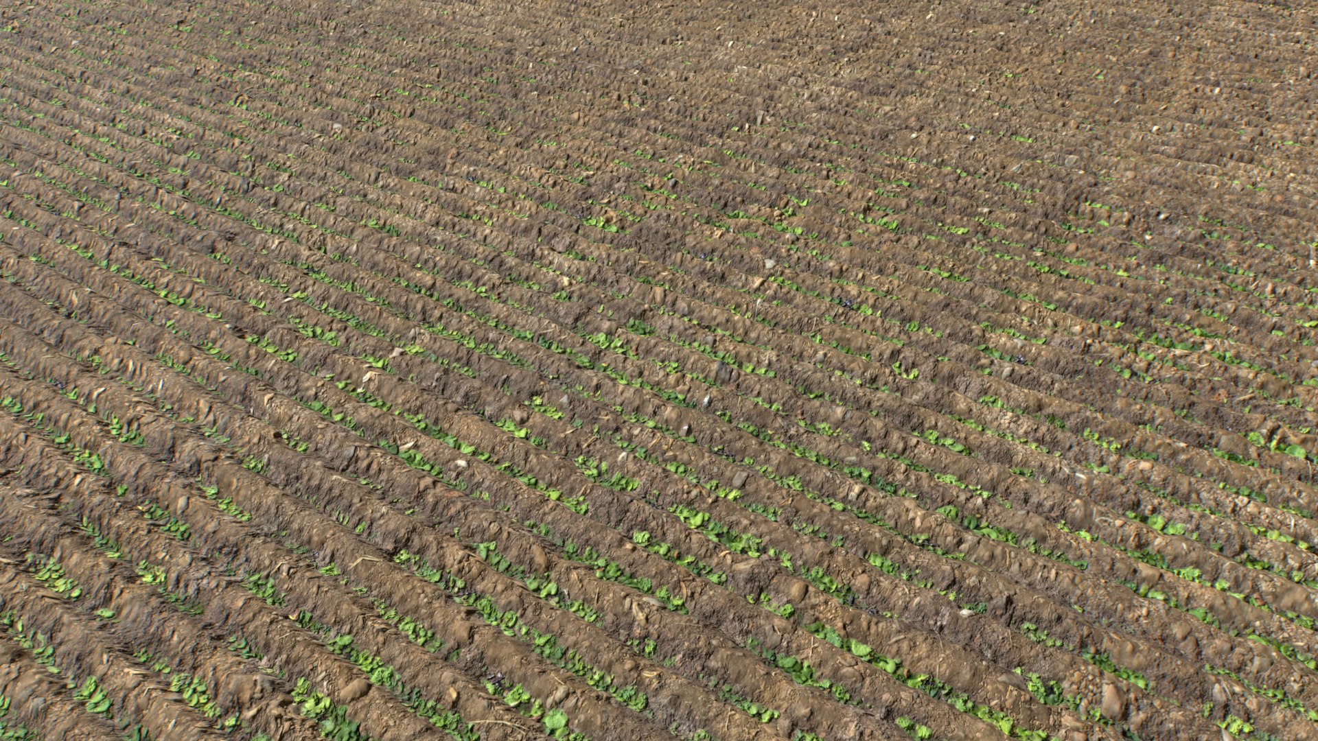 Farm Terrain Textures Pack 3 3D model https://p.turbosquid.com/ts-thumb/sI/gZf5by/Lq/untitled_003/png/1753122898/1920x1080/fit_q87/74c56cbd6438ee4f65b240b88d3524989b0a3876/untitled_003.jpg