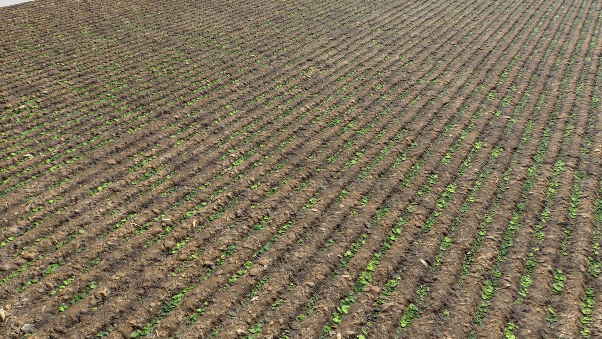 Farm Terrain Textures Pack 3 3D model https://p.turbosquid.com/ts-thumb/sI/gZf5by/Y7/untitled_013/png/1753122906/1920x1080/fit_q87/7bd3b413178fa0282b2474f82d69448c88eeba45/untitled_013.jpg