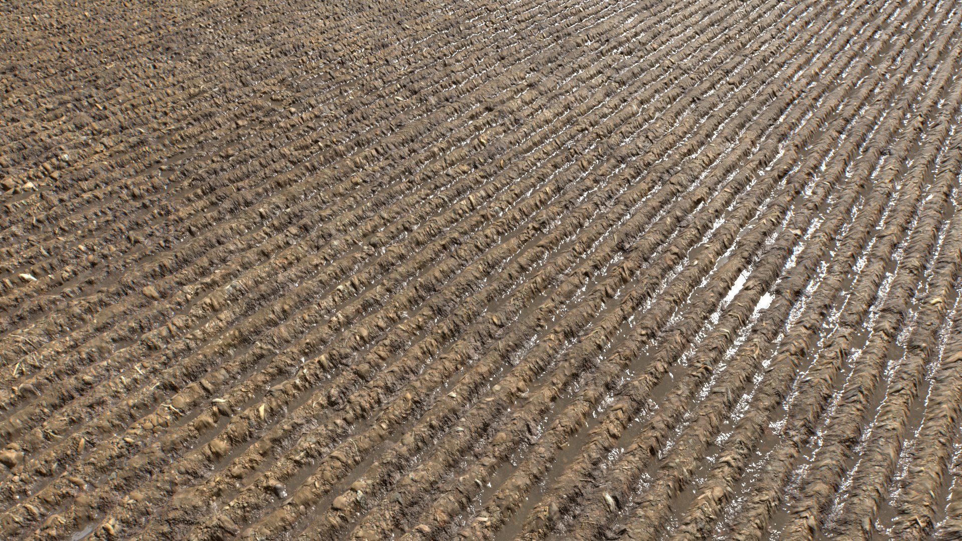 Farm Terrain Textures Pack 3 3D model https://p.turbosquid.com/ts-thumb/sI/gZf5by/fc/untitled_004/png/1753122899/1920x1080/fit_q87/9b0d90d326f7744f3fe47e9ac2ef037babaf19af/untitled_004.jpg