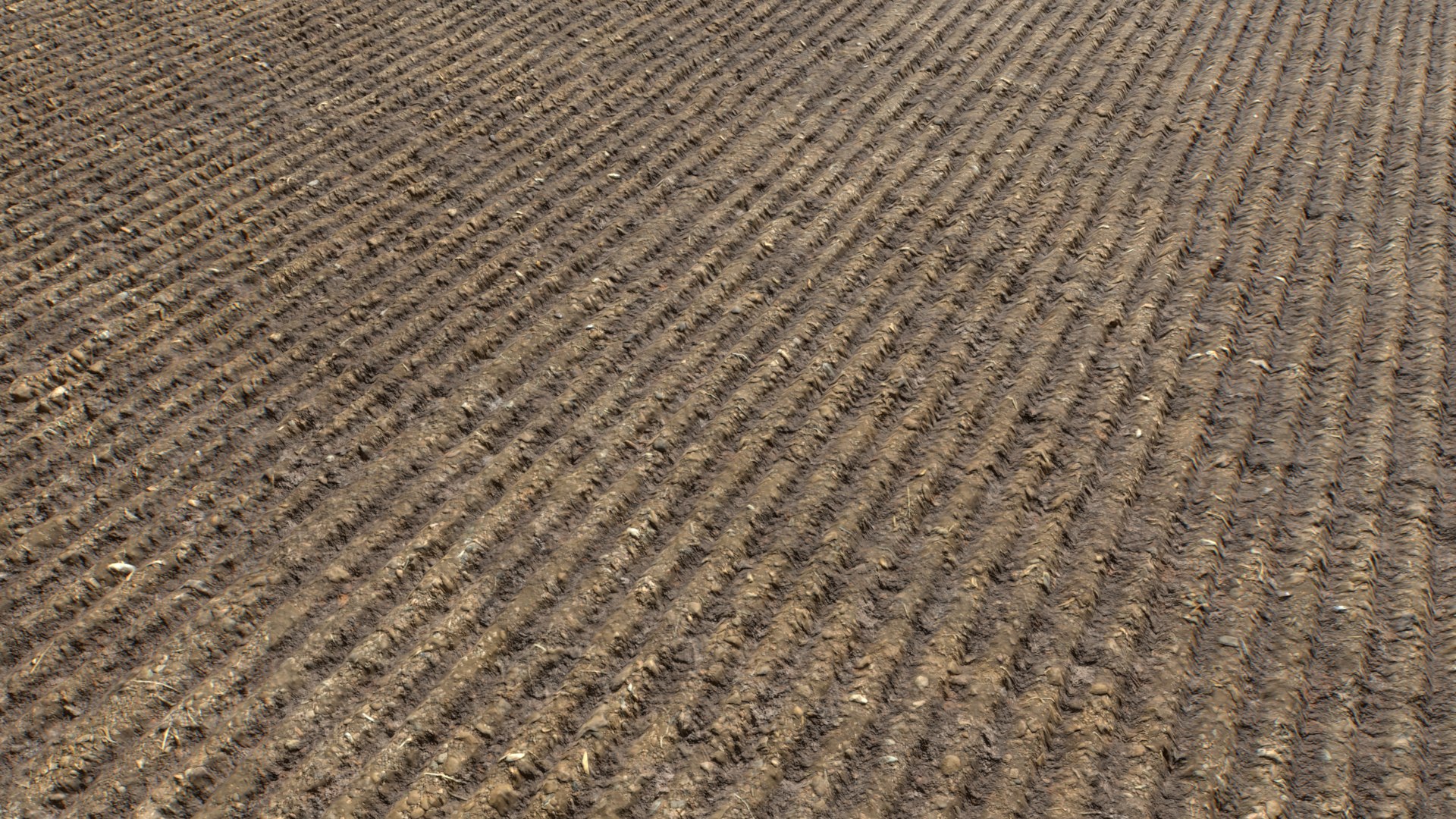 Farm Terrain Textures Pack 3 3D model https://p.turbosquid.com/ts-thumb/sI/gZf5by/il/untitled_006/png/1753122901/1920x1080/fit_q87/27bc96bf19156ca177a888bf7ccebf83e94de5e6/untitled_006.jpg