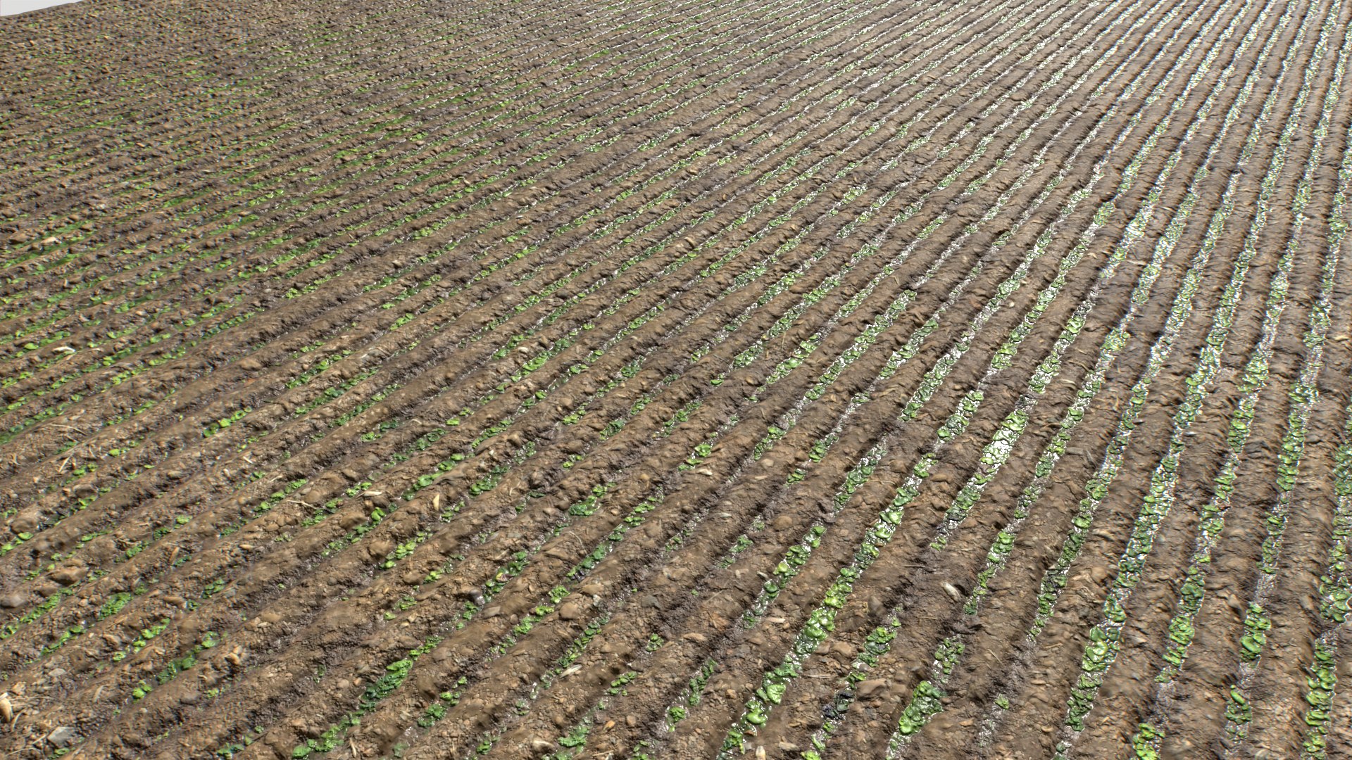 Farm Terrain Textures Pack 3 3D model https://p.turbosquid.com/ts-thumb/sI/gZf5by/no/untitled_014/png/1753122908/1920x1080/fit_q87/6136be2adef60e898f7720ef5278f1734701bd5c/untitled_014.jpg